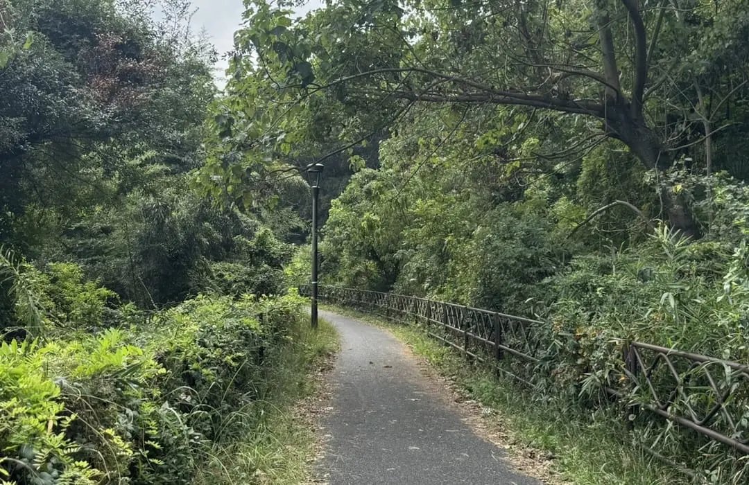 🏞️ 백간천 녹지 공원(햣켄가와 료쿠치코엔) 이미지 3